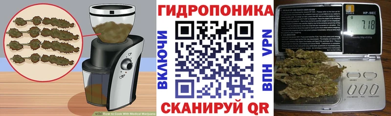мега как войти  Ярославль  Еда ТГК марихуана  дарнет шоп 