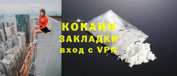 шишки Михайлов