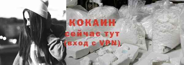 шишки Михайлов