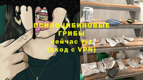 спиды Михайловск