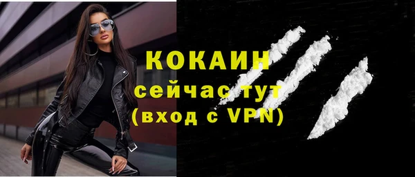 шишки Михайлов