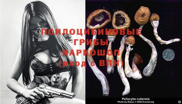 мдпв Михайловка
