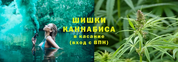 шишки Михайлов