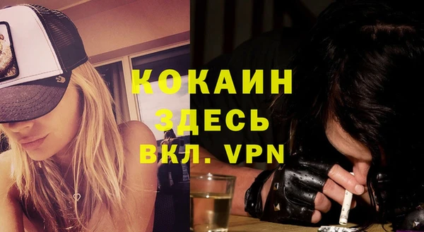шишки Михайлов