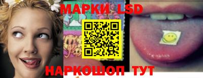 гидропоника Пушкино