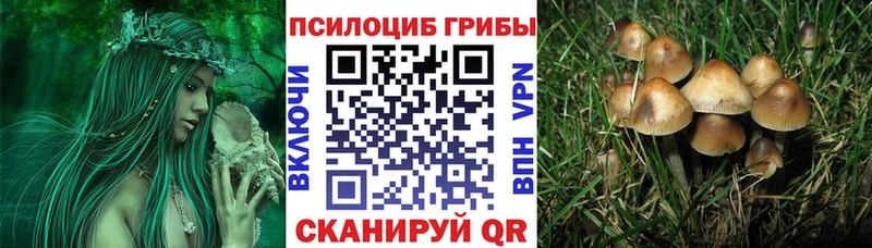 цена   Ярославль  darknet клад  Галлюциногенные грибы ЛСД 